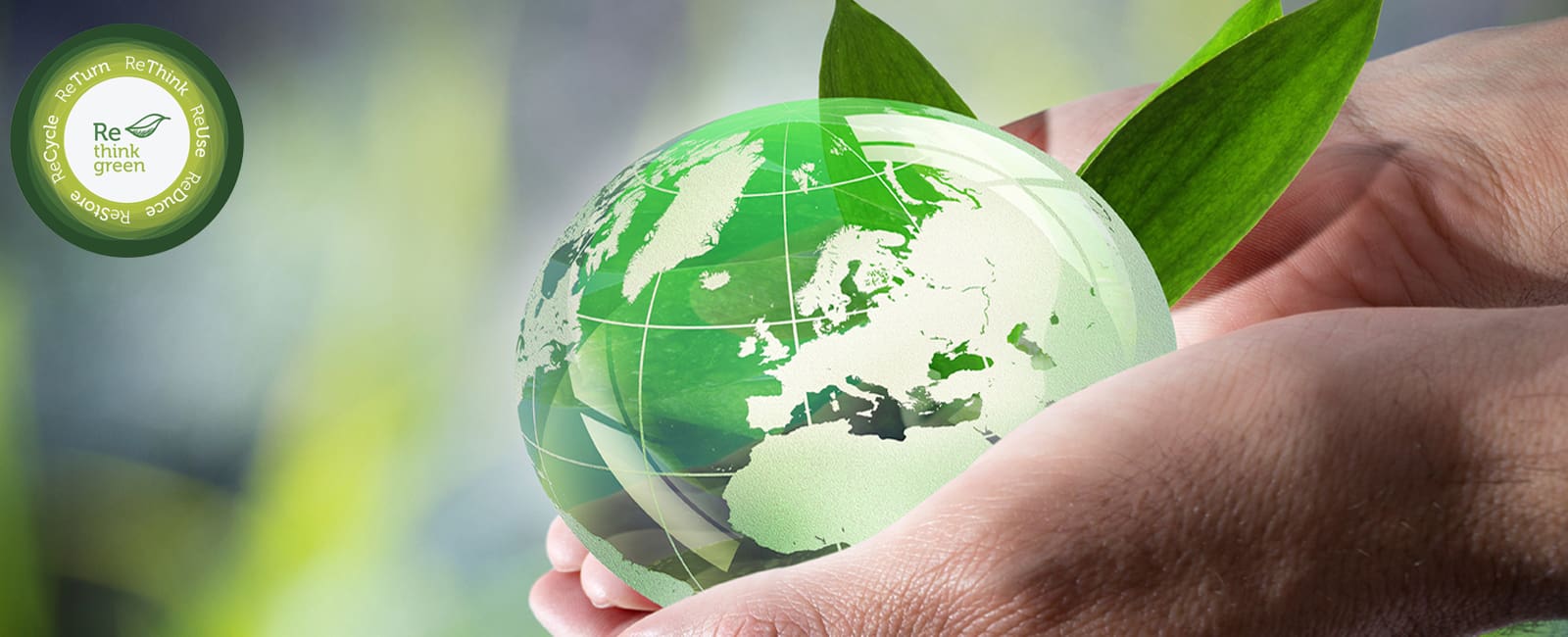 A person holding a green globe with leaves on it.