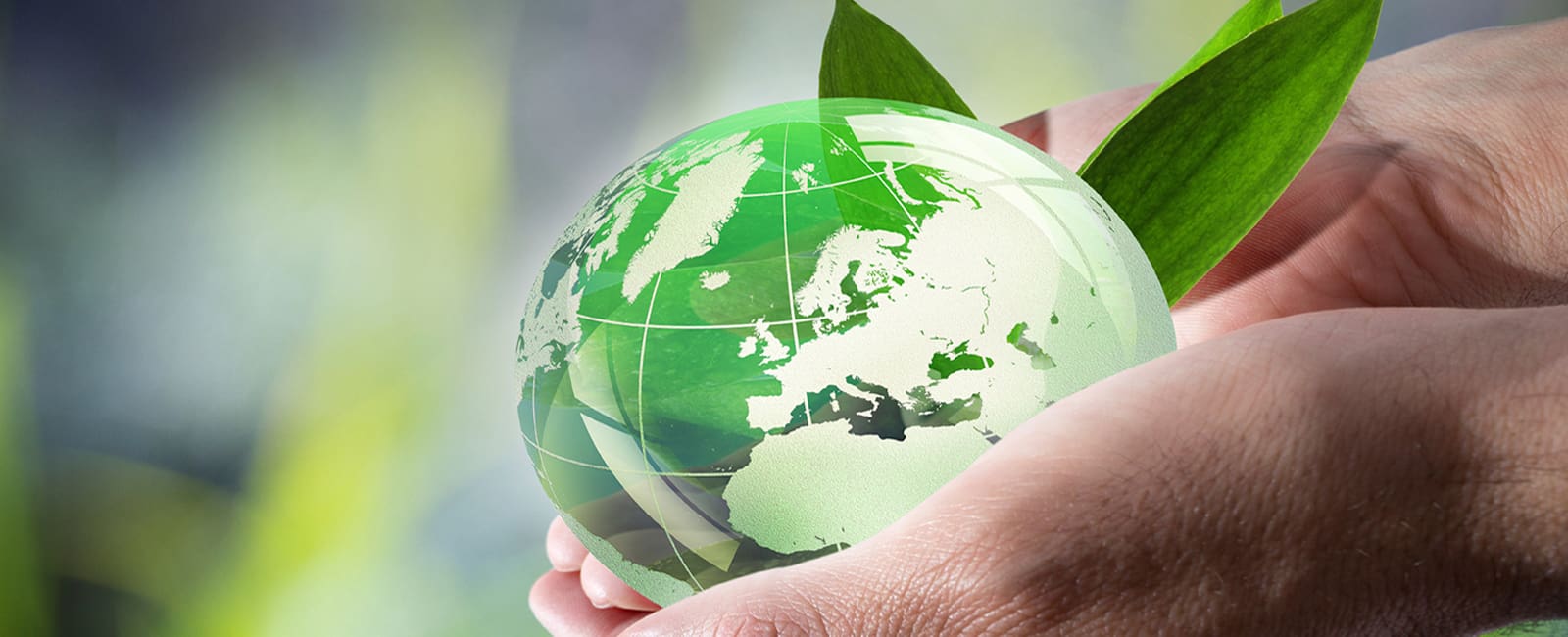 A person holding a green globe with leaves on it.