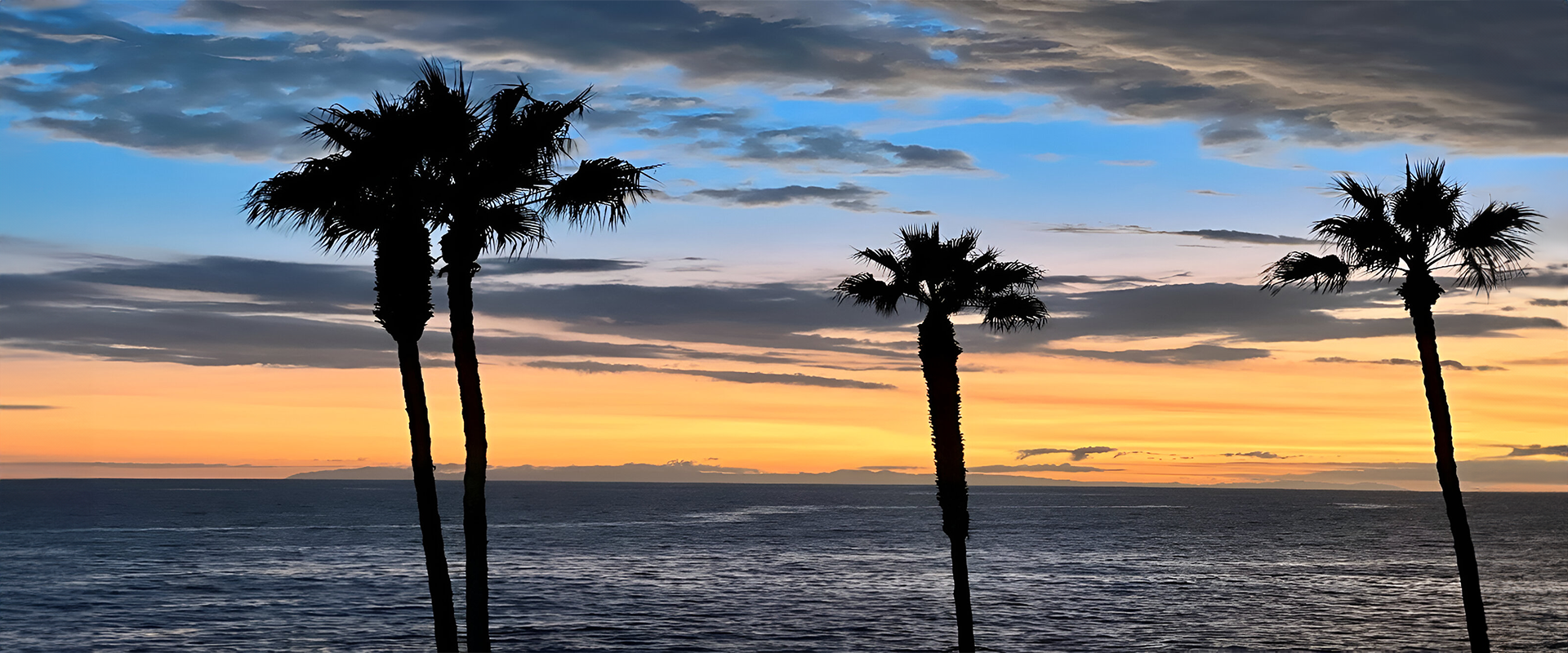 Two palm trees are in front of the ocean.